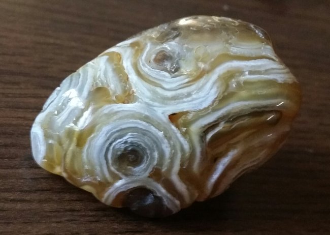 2014-09-27 12.58.07.jpg