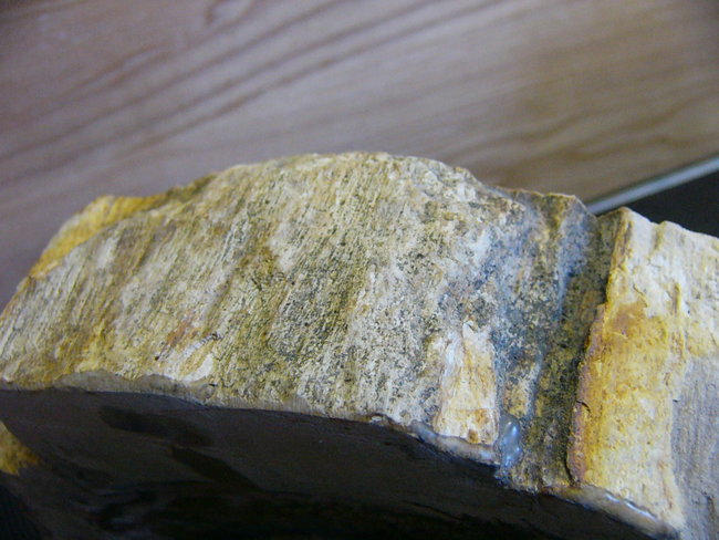 P1400011.JPG
