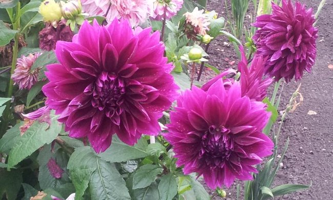 20140911_091413.JPG