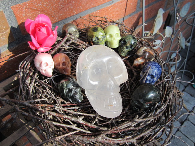 ein Nest voller....