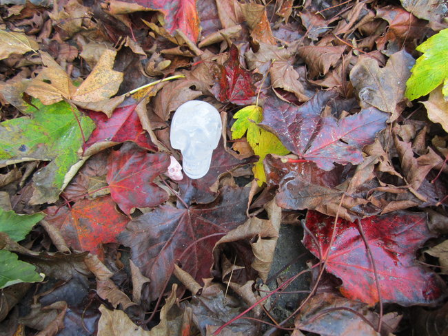 ....der Herbst ist da..