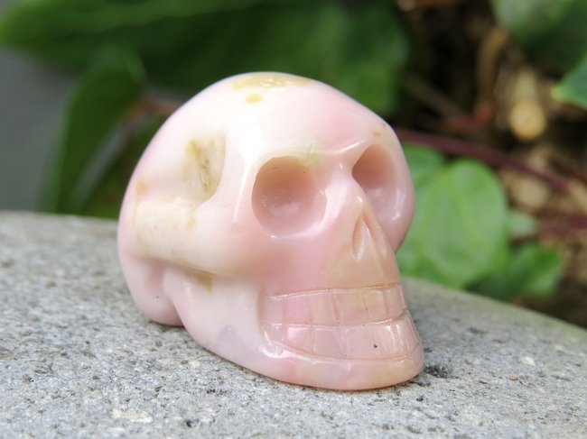 Skull rosa