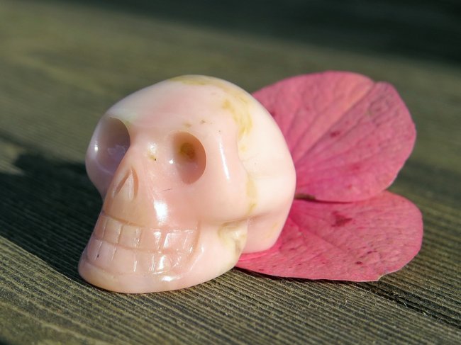 Skull rosa