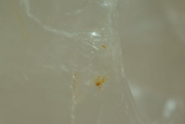 DSC03804.JPG