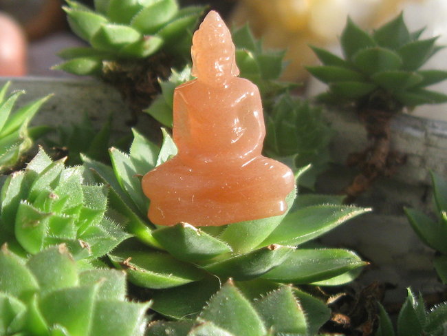buddha zonnesteen.jpg