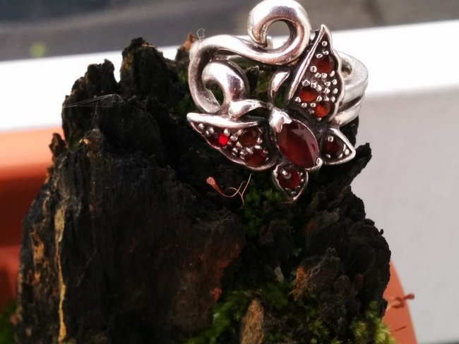 Mein Granatschmetterling