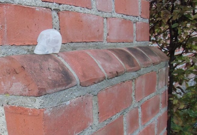 Suki auf der Stadtmauer