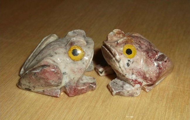 Frösche.JPG