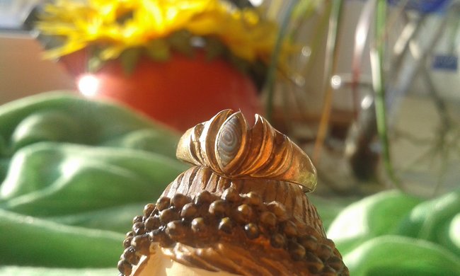 Abalone