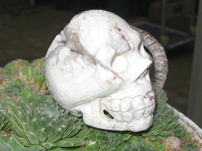 skull magnesiet kwarts (3).jpg