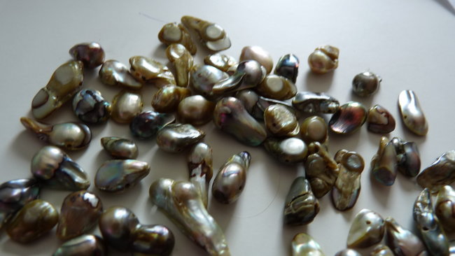 Irgendein Muschelzeug :D