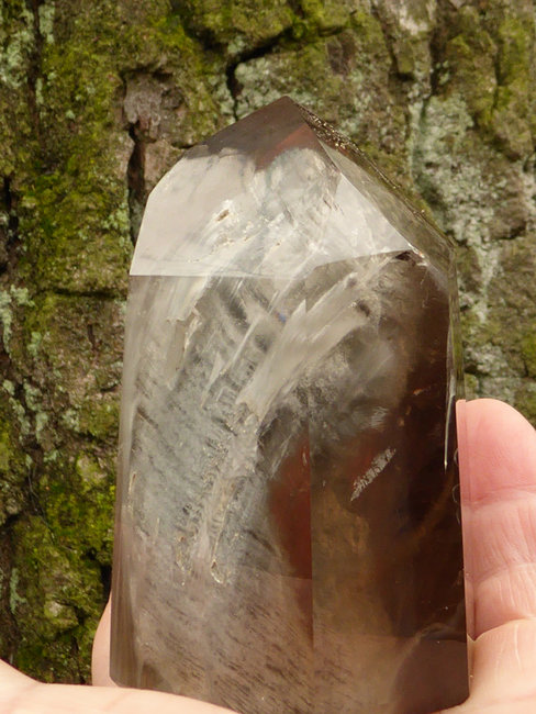 P1270365a.jpg