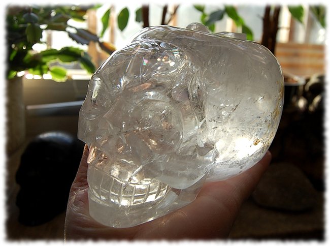 Apfel-Skull  Saaraa