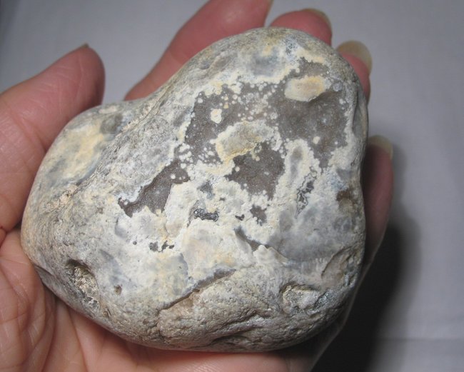 Flint m  (1).JPG