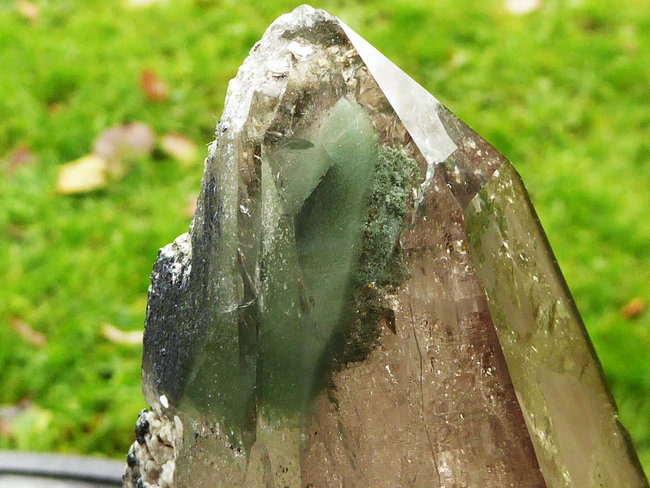 P1270914a.jpg