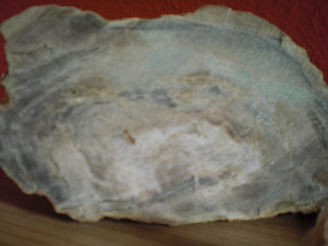 Versteinertse holz?