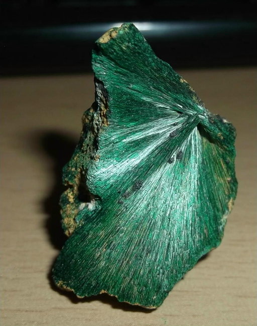 DSCF0002.JPG