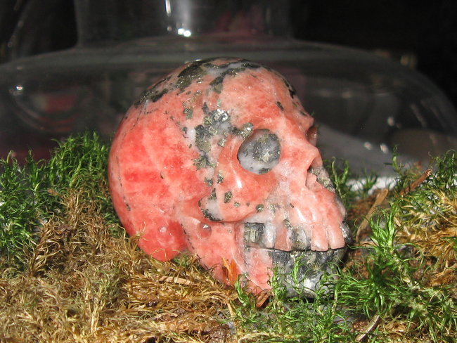 skull wagneriet (1).jpg
