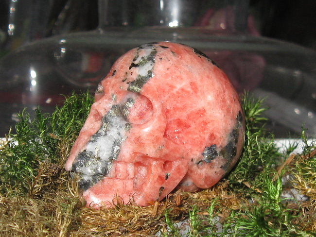 skull wagneriet (2).jpg