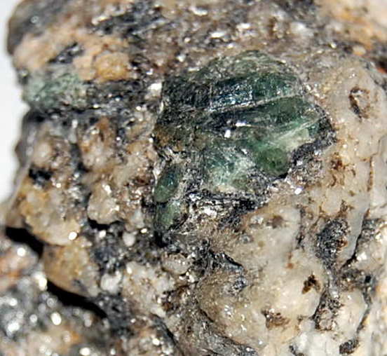 PhenAlexSt5.JPG