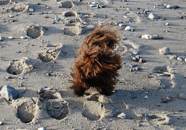 071.JPG (289.49 KiB) 13010 mal betrachtet "Wischmop"