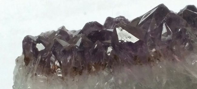 Detailaufnahme
