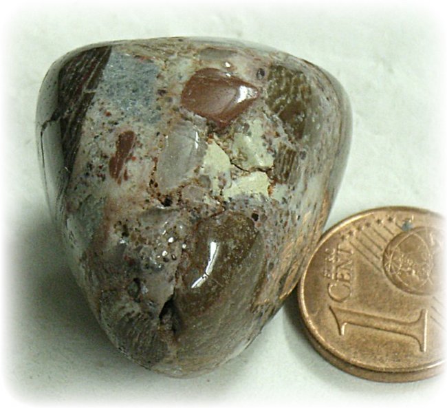 Konglomerat aus Quarz-Jaspis und Kalkstein Trommelstein Frankreich 1