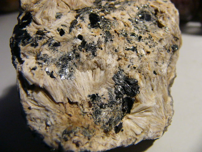 P1430041.JPG