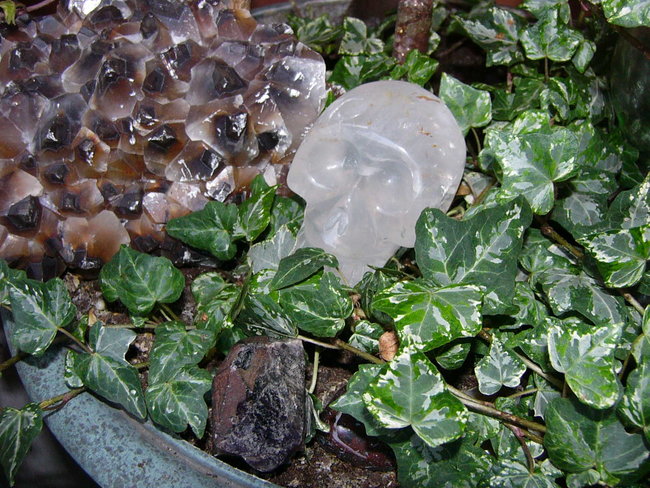 P1430074.JPG