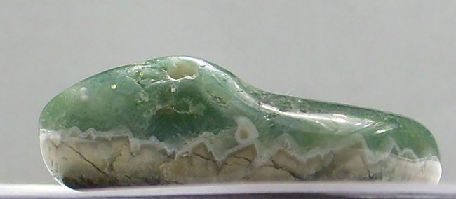 krokodil von links.jpg