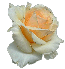 5 Blume5.gif