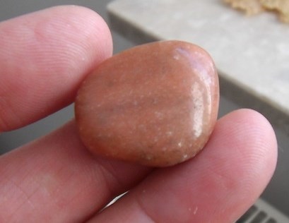 PICT0313.JPG