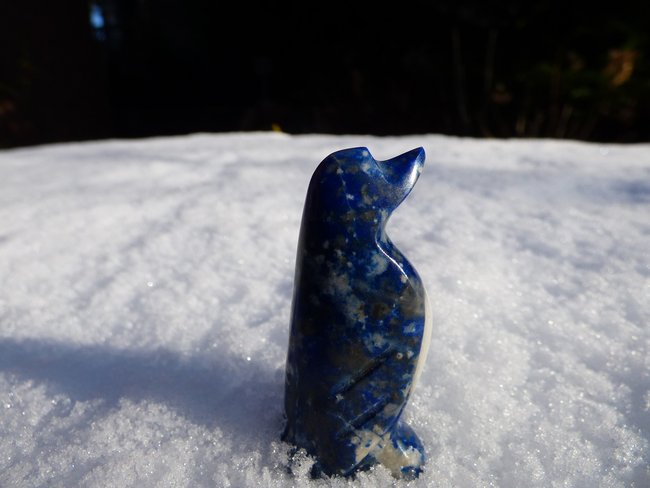 Pinguin Lapislazuli