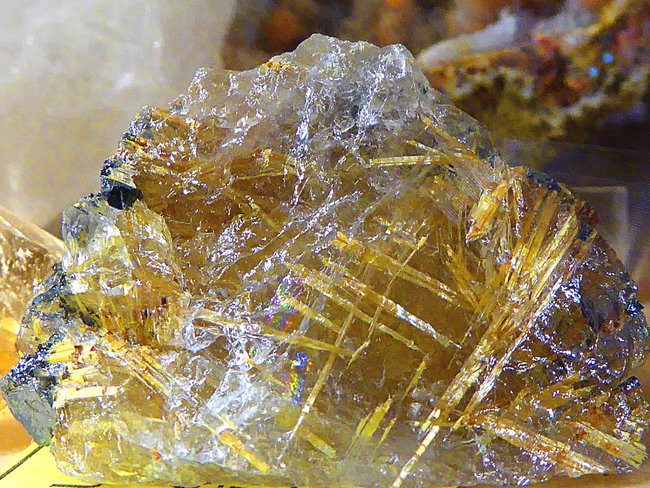P1320246a.jpg