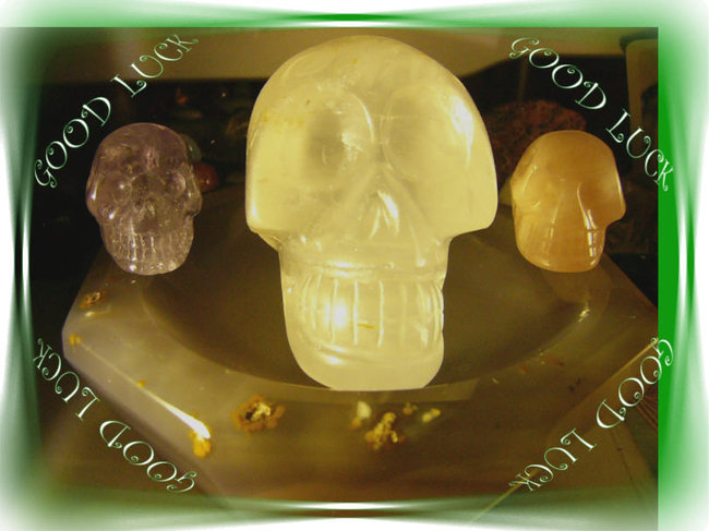 skull Suki.jpg