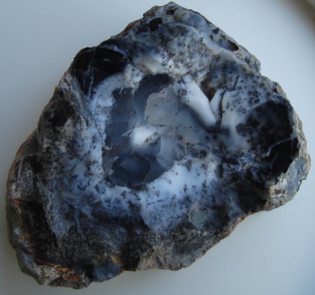 Dendriten_x1.JPG