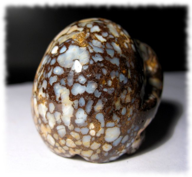 Persephone Coffeeopal (2).JPG