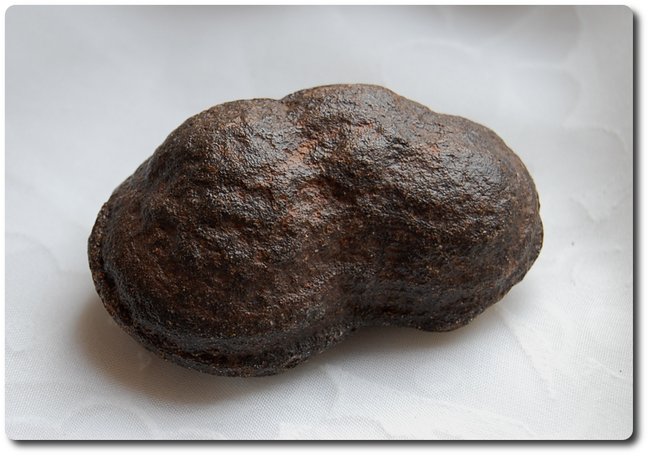 Moqui (2).JPG