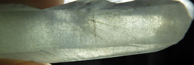 P1330201s.jpg