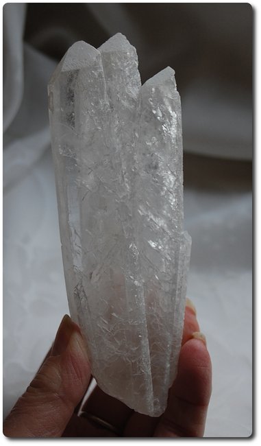 Lemurian Seed, Tibet