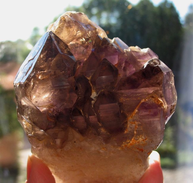 Amethyst-Rauchquarz Zepter, Himalaya