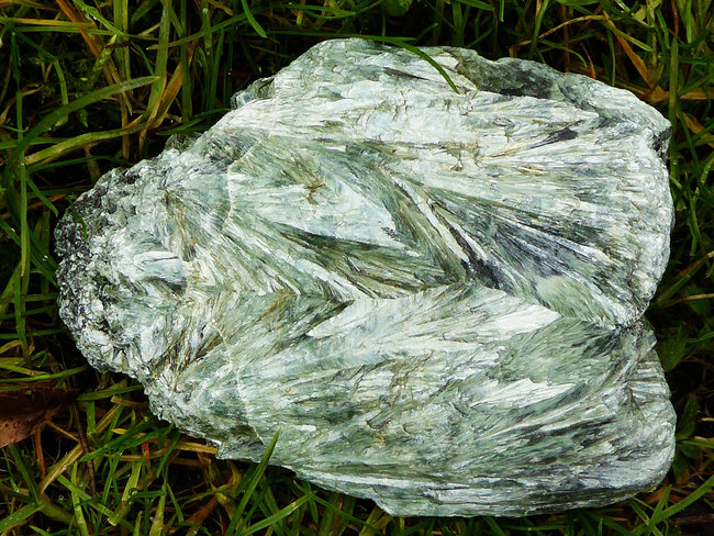 P1340595a.jpg