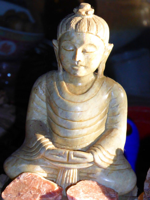 P1350393a.jpg