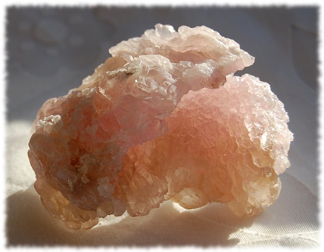 Rosaqu  (6).JPG