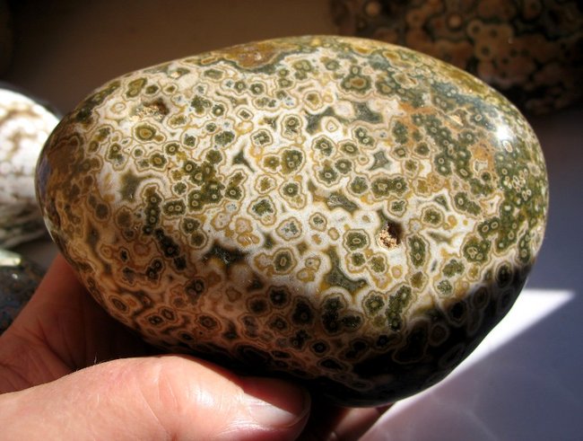 Ozean (9).JPG