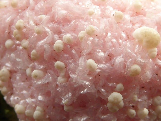 Rhodochrosit1.jpg