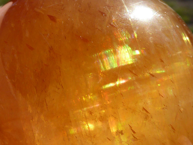 P1370630a.jpg