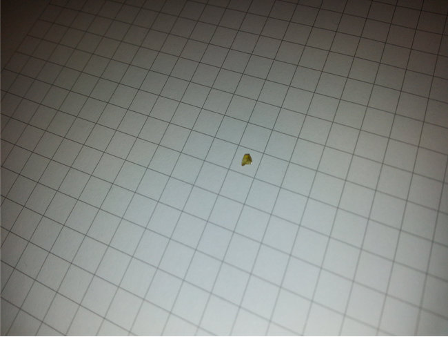 Stein2.jpg