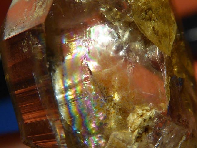 goldfischrainbow.jpg