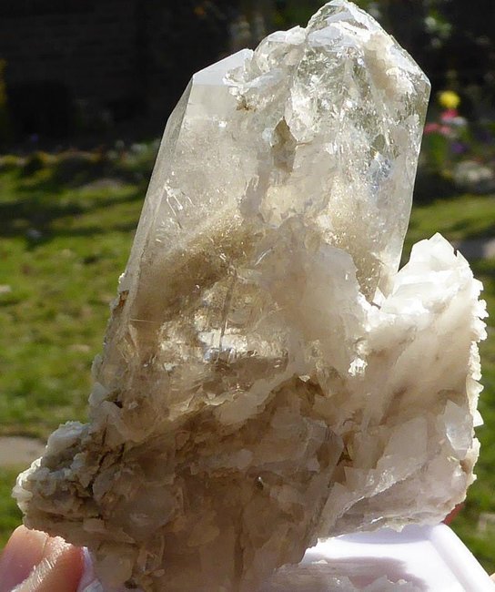 Chloritphantomb.jpg